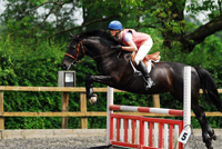 Clear Round Show Jumping at CEC